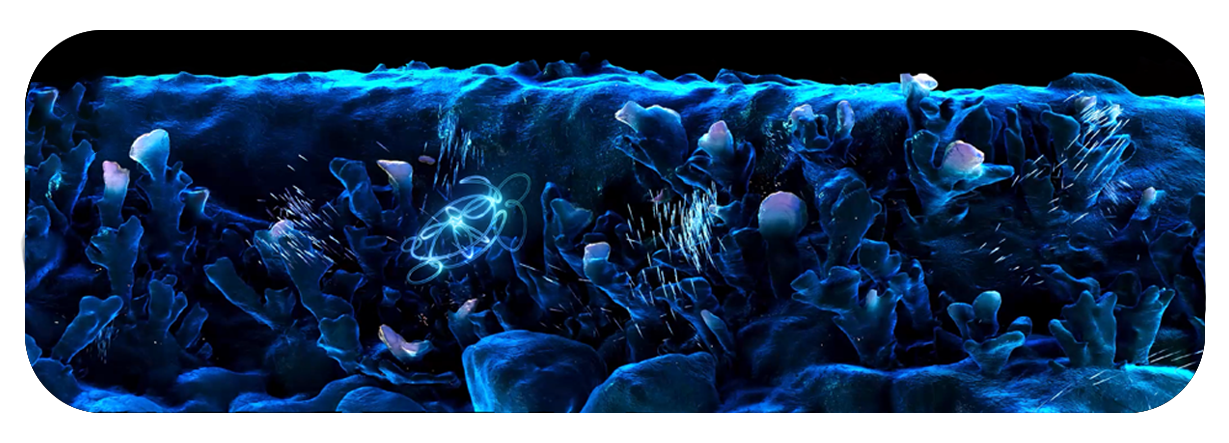 Phases of Memory
