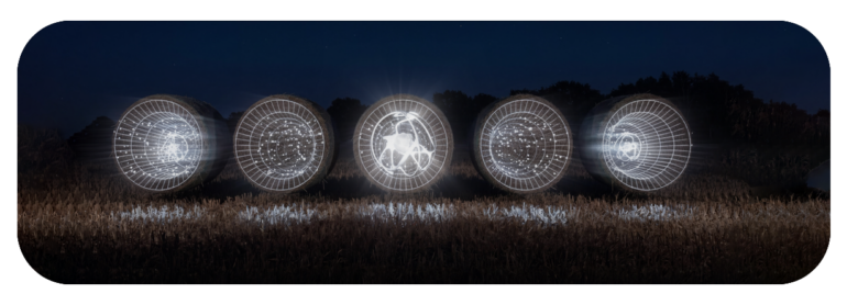 Time Harvest