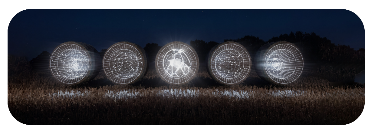 Time Harvest Time Harvest
